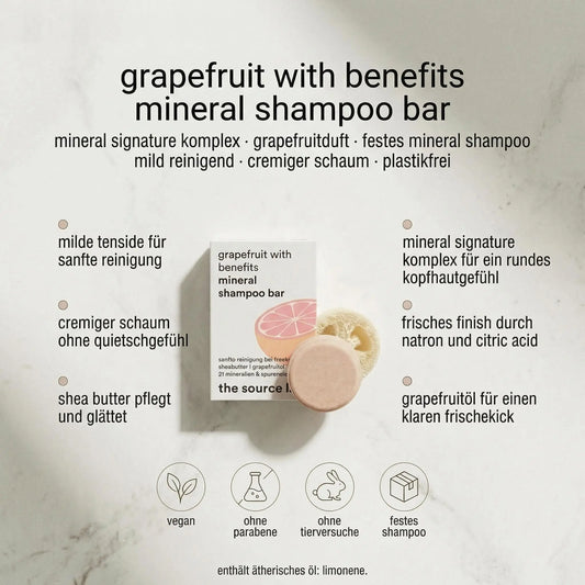 Mineral Shampoo Bar mit Grapefruit und Luffa-Seifenkissen von THE SOURCE LAB für Haare & Kopfhaut, 50 g
